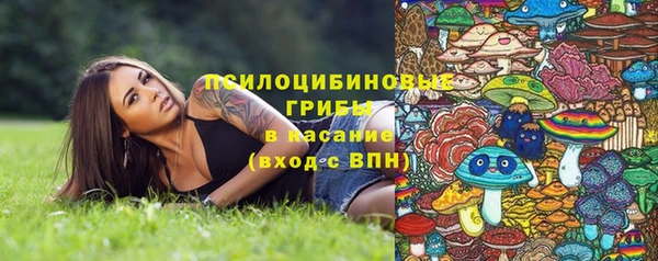 соль ск Алзамай