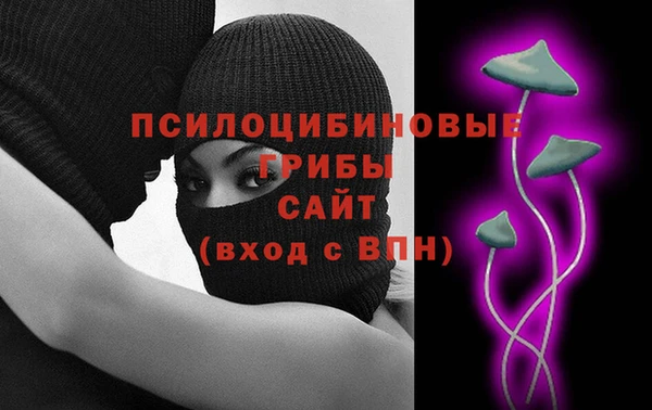 соль ск Алзамай