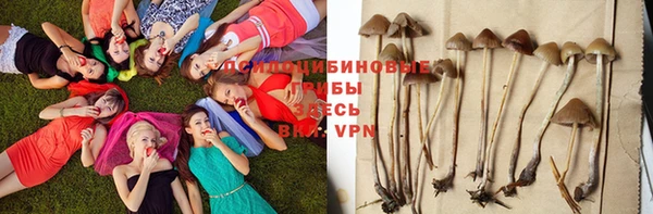 кокс Алексеевка