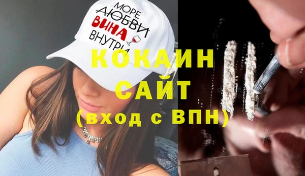соль ск Алзамай