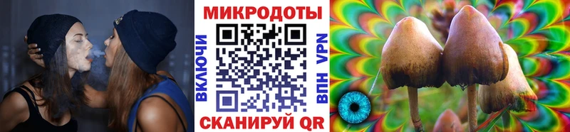 Галлюциногенные грибы мицелий кракен как зайти Троицк